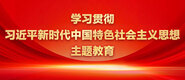 日美老妇日屄学习贯彻习近平新时代中国特色社会主义思想主题教育_fororder_ad-371X160(2)